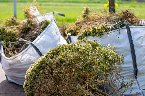 Best Appliance Removal Near Me  in Eagar, AZ