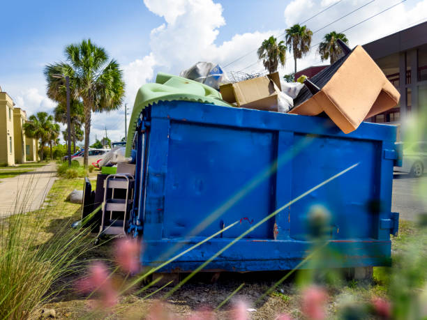 Best Basement Cleanout Services  in Eagar, AZ