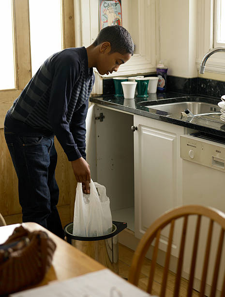 Yard Cleanup Services in Eagar, AZ